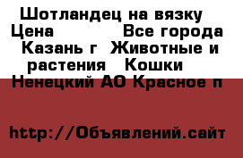 Шотландец на вязку › Цена ­ 1 000 - Все города, Казань г. Животные и растения » Кошки   . Ненецкий АО,Красное п.